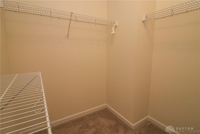 spacious closet with carpet