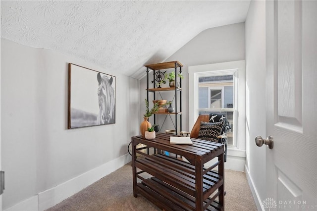 interior space with carpet flooring, a textured ceiling, and lofted ceiling