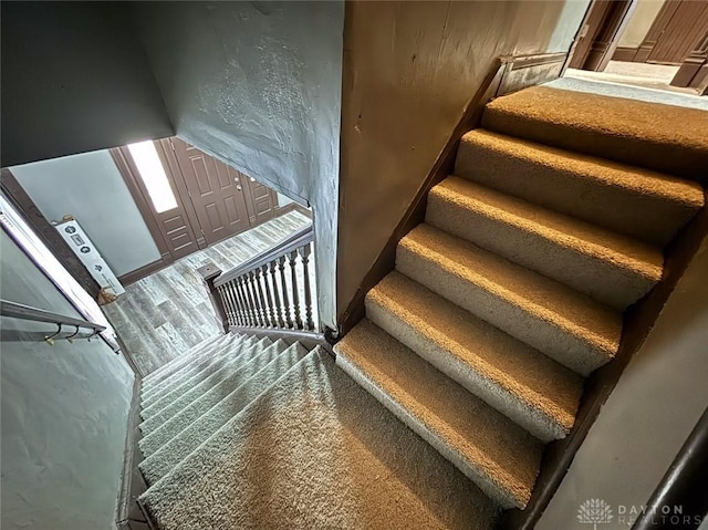 stairs with carpet floors