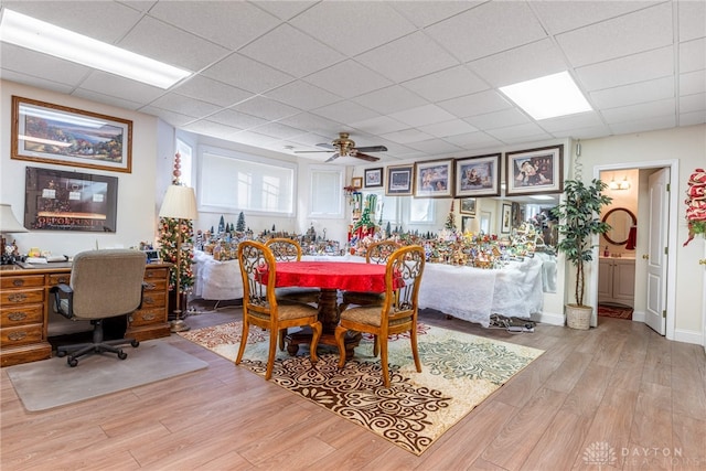 dining space with a paneled ceiling, ceiling fan, and light hardwood / wood-style floors