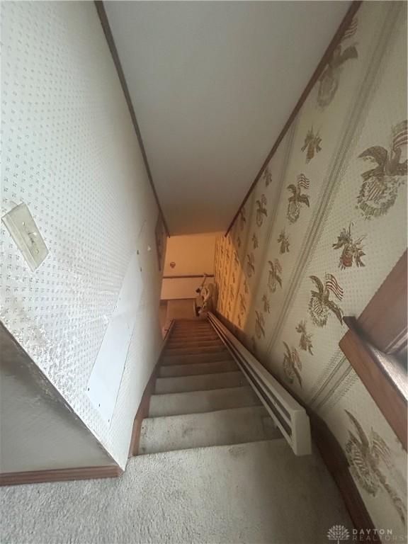 staircase with carpet