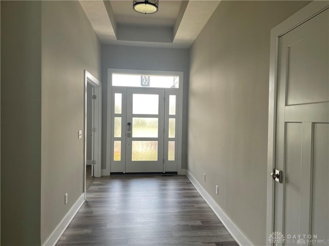 entryway with a raised ceiling and dark hardwood / wood-style flooring