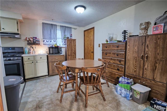 kitchen with a textured ceiling, stainless steel stove, and extractor fan