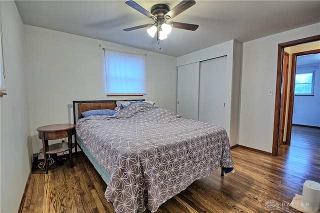 bedroom with dark hardwood / wood-style flooring, a closet, and ceiling fan