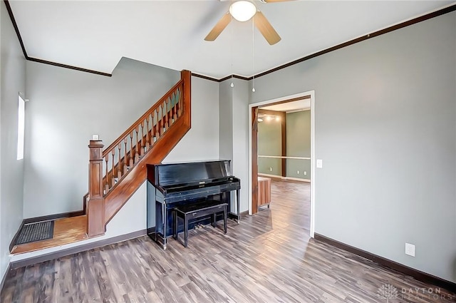 miscellaneous room featuring wood-type flooring, ceiling fan, and crown molding