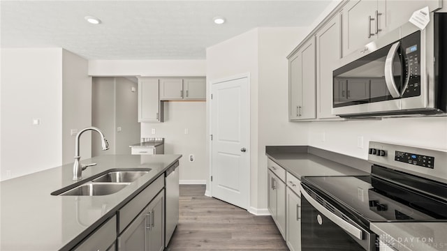 kitchen with appliances with stainless steel finishes, gray cabinets, light wood-style floors, a sink, and recessed lighting