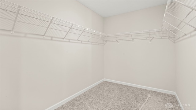 spacious closet with carpet