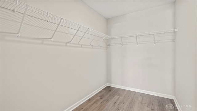 walk in closet with wood finished floors