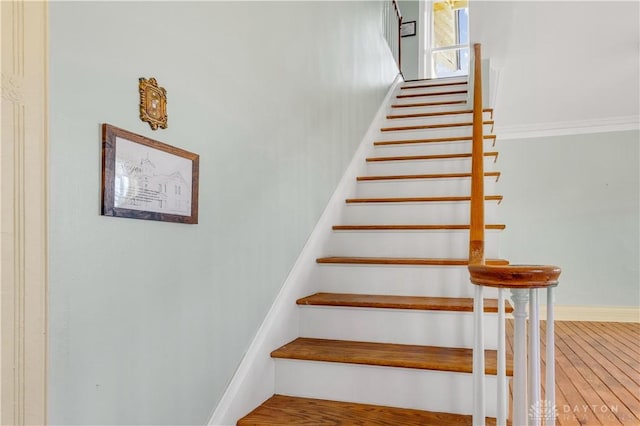 staircase featuring wood-type flooring