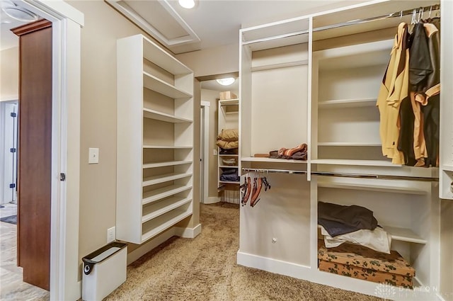 spacious closet with light colored carpet