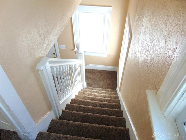 stairway featuring carpet floors