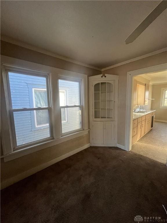 interior space featuring sink, carpet floors, and ornamental molding