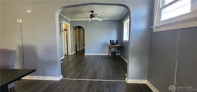 hall featuring plenty of natural light, dark wood-type flooring, and ornamental molding