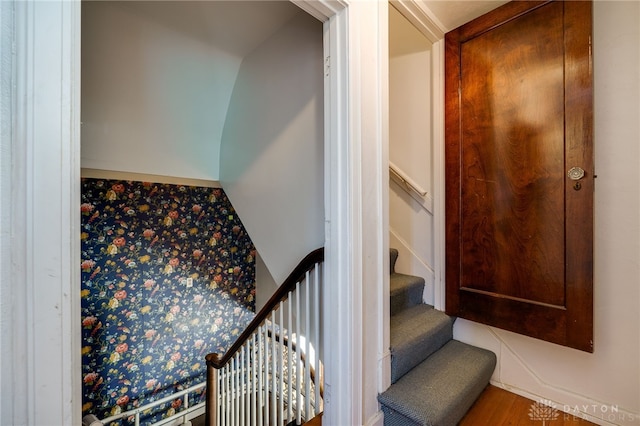 staircase with hardwood / wood-style flooring