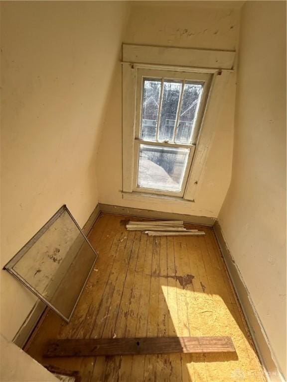 bonus room with wood-type flooring