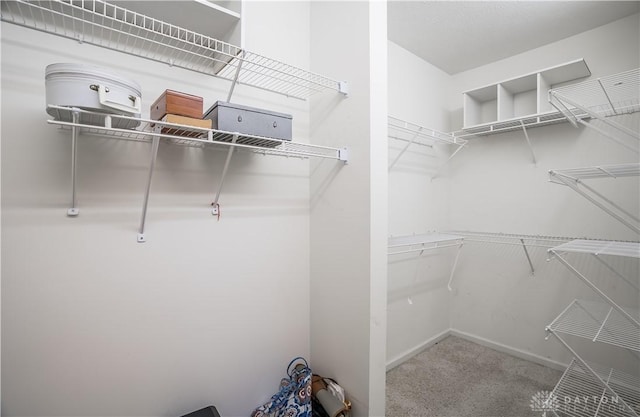 spacious closet with carpet floors