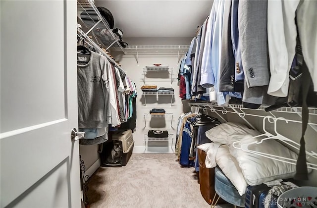 spacious closet with carpet