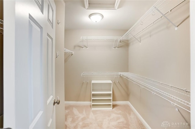 walk in closet featuring light carpet