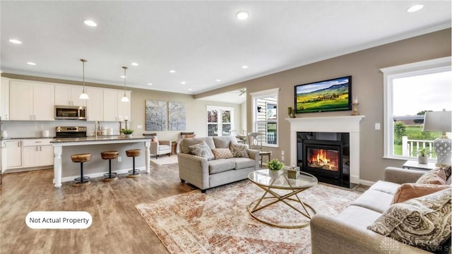 living room with plenty of natural light, light wood-type flooring, sink, and ornamental molding