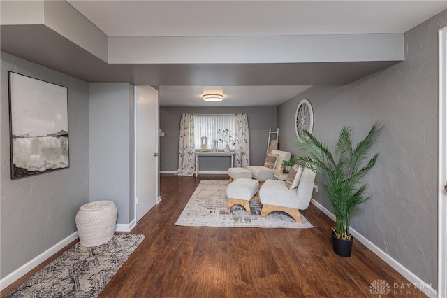 living area with dark hardwood / wood-style floors