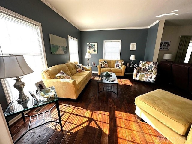 living room featuring a healthy amount of sunlight, wood-type flooring, and ornamental molding