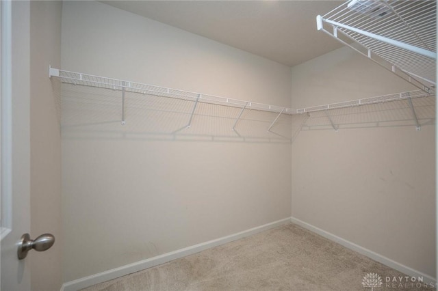 walk in closet with carpet