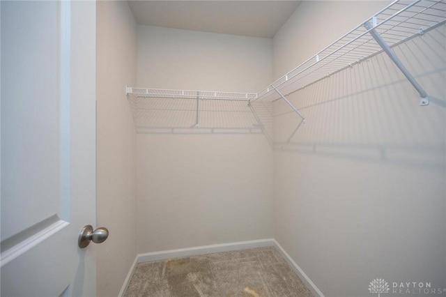 spacious closet with carpet