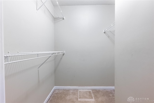 spacious closet featuring light colored carpet