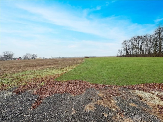 view of yard featuring a rural view