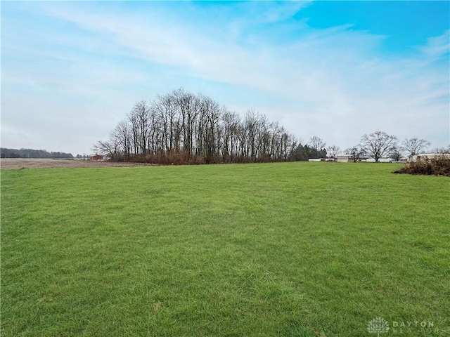 view of yard with a rural view