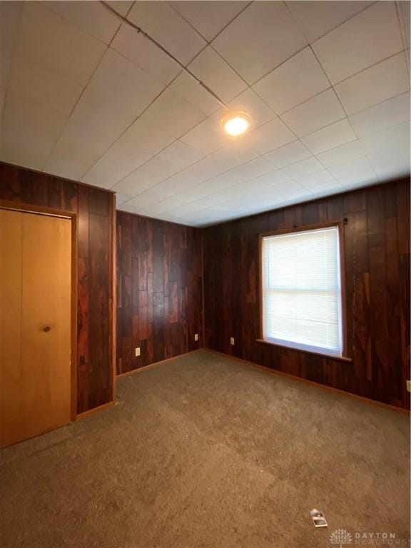 interior space with carpet flooring and wood walls