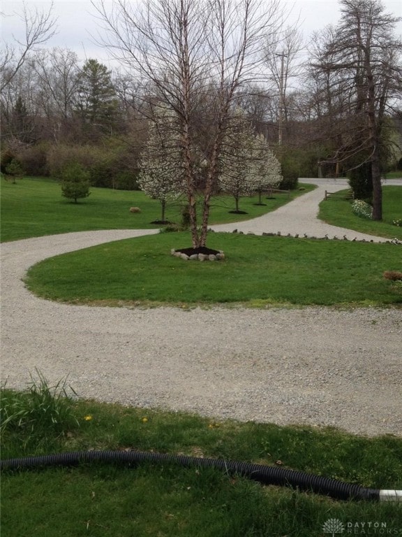 view of community with a lawn