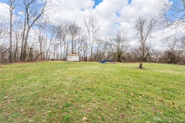 view of yard with a storage shed