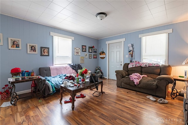 living room featuring hardwood / wood-style floors and a healthy amount of sunlight