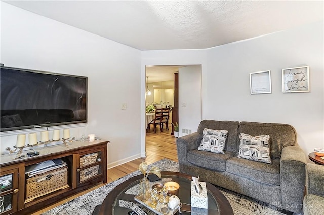 living room with a textured ceiling and hardwood / wood-style flooring