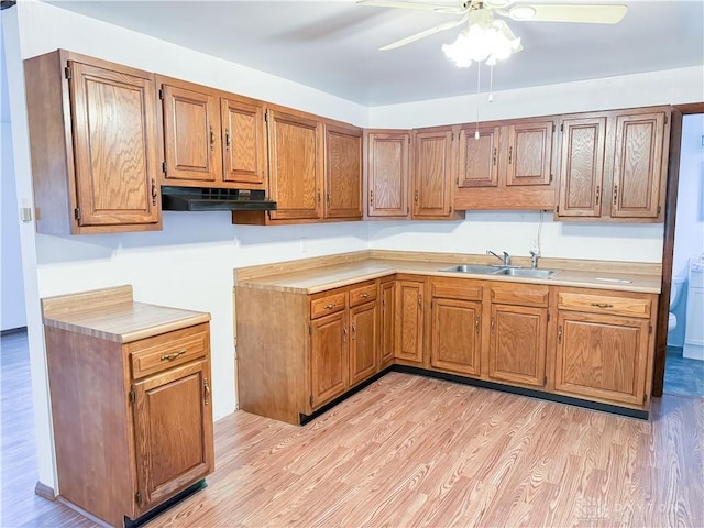 kitchen featuring light hardwood / wood-style flooring, ceiling fan, and sink