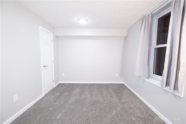 empty room featuring carpet and a textured ceiling