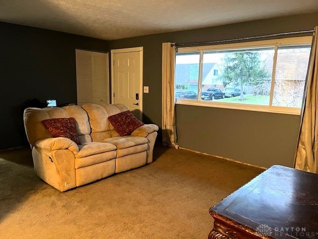 living room featuring carpet floors and a textured ceiling