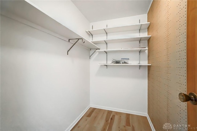 walk in closet with light wood-style flooring