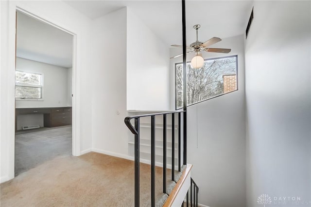 stairway with baseboards, visible vents, ceiling fan, and carpet