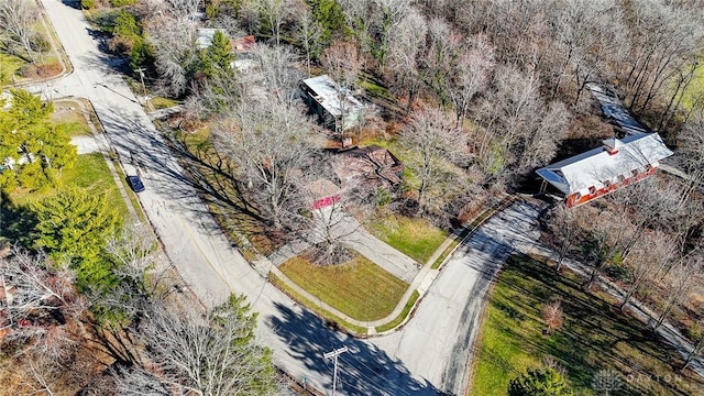 drone / aerial view