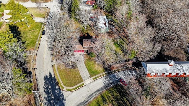 drone / aerial view