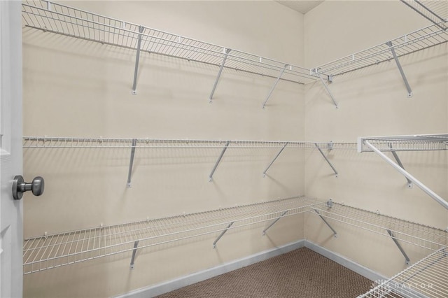 walk in closet featuring carpet floors