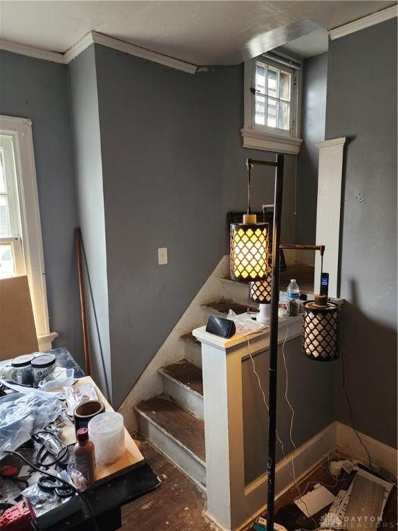 kitchen featuring ornamental molding