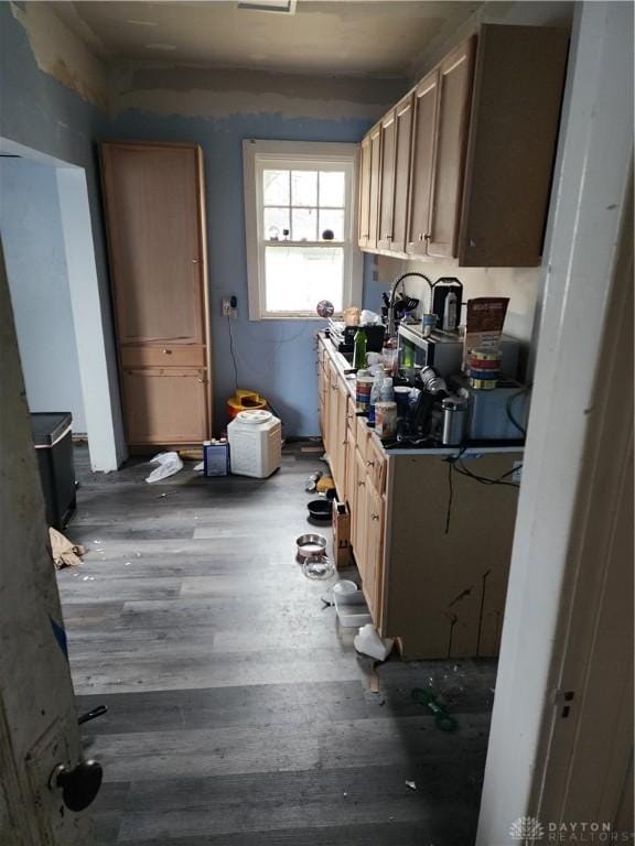 kitchen with light brown cabinets and hardwood / wood-style floors