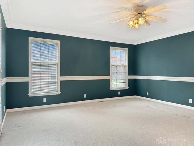 spare room featuring ceiling fan, carpet, and ornamental molding