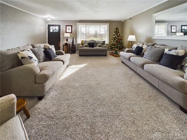 carpeted living room featuring crown molding