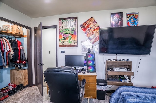 bedroom with a closet and carpet