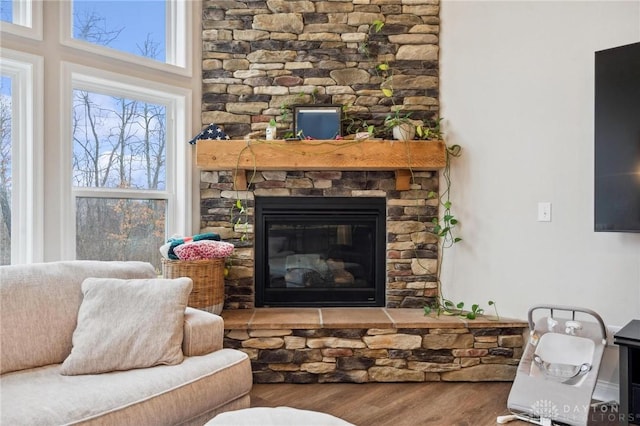 living room featuring a fireplace and wood-type flooring