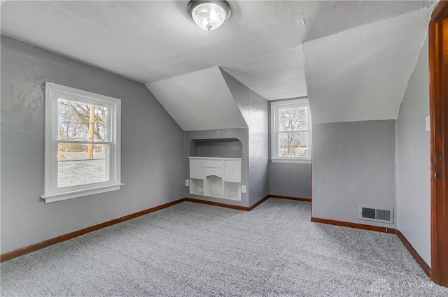 additional living space featuring carpet and vaulted ceiling